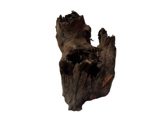 Corbo Root Stump